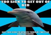 Social Networking Dolphin