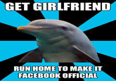 Social Networking Dolphin