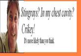 Steve Irwin/Stingrays