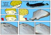 Steve Irwin/Stingrays