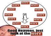Tony Kornheiser's "Why"