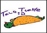 Palin is Taco