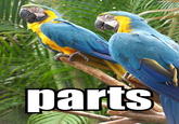 parts.jpg
