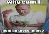 Limes Guy / Why Can't I Hold All These Limes?