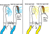 Troll Science / Troll Physics