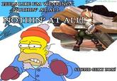 Stupid Sexy Flanders