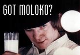 Got Milk?