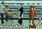 Never Say No to Panda