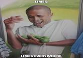 Limes Guy / Why Can't I Hold All These Limes?