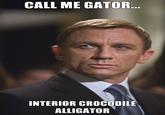 Interior Crocodile Alligator