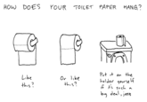The Great Toilet Paper Debate