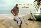 Isaiah Mustafa: Old Spice