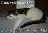 TEH