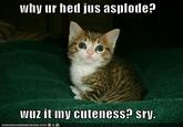 Your Head Asplode