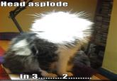 Your Head Asplode