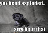 Your Head Asplode