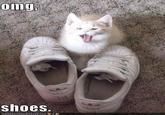 Kelly's "Shoes"