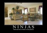Pirates vs. Ninjas