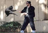 Tai Chi Keanu