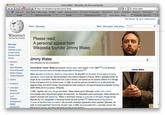 2010 Wikipedia Fundraising Campaign