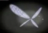 Navi
