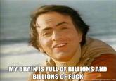 My Brain is Full of F**k