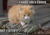 I Made You a Cookie, But I Eated It