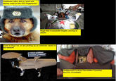 Dog Fort