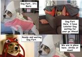 Dog Fort