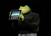 Get Out Frog / Frogout / Me Obrigue
