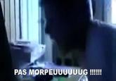 Meuporg or MMMPORPG