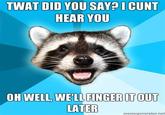 Lame Pun Coon