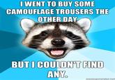 Lame Pun Coon