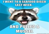 Lame Pun Coon