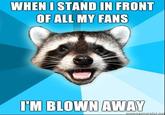 Lame Pun Coon