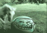LOL Guy