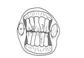 Teethguy