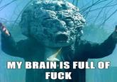 My Brain is Full of F**k