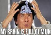 My Brain is Full of F**k