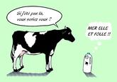 MER IL ET FOU