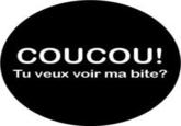 Coucou tu veux voir ma b*** ??