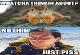 Whatcha Thinkin Bout?