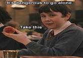 It's Dangerous to Go Alone! Take This