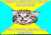 I Throw My Hands Up In The Air Sometimes Saying Ayo