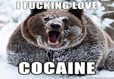 I Fucking Love Cocaine / Cocaine Bear