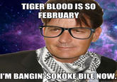 Hipster Charlie Sheen