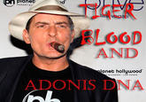 Charlie Sheen Rant / #tigerblood