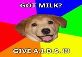 Advice Dog
