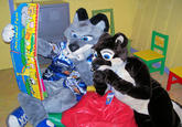 Furries