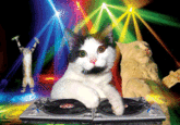 X Raves
